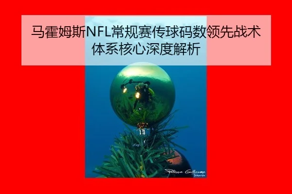 马霍姆斯NFL常规赛传球码数领先战术体系核心深度解析