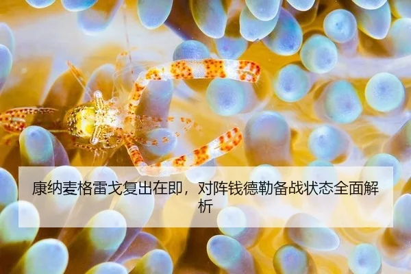 康纳麦格雷戈复出在即，对阵钱德勒备战状态全面解析