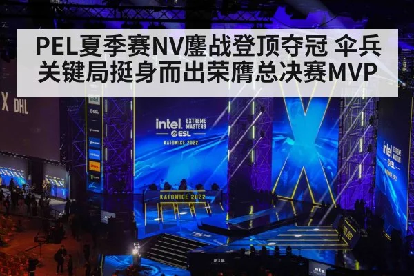 PEL夏季赛NV鏖战登顶夺冠 伞兵关键局挺身而出荣膺总决赛MVP